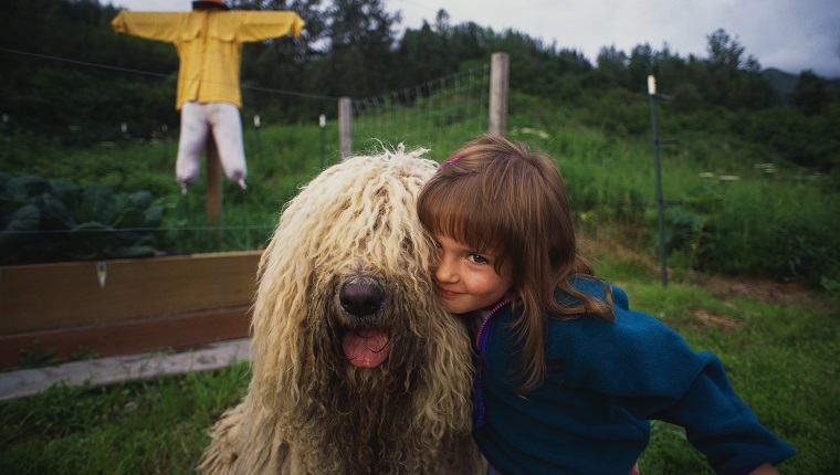 Die 5-jährige Mariah Meyer posiert mit ihrem ungarischen Schäferhundbären im Hinterhof ihres Hauses.