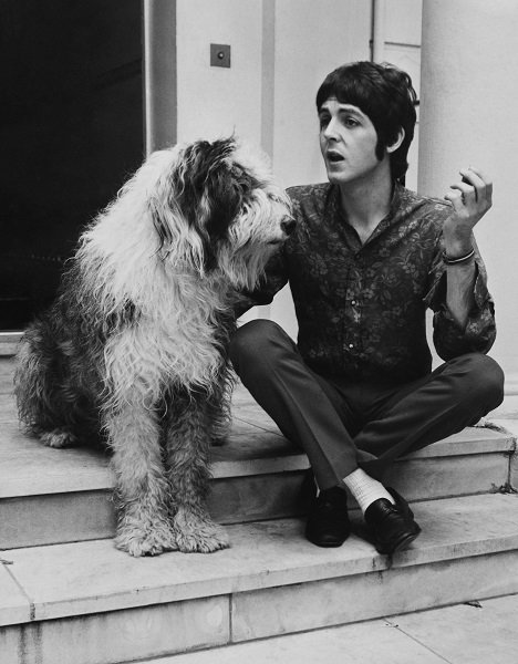 Paul McCartney von den Beatles mit seinem Hund Martha, 1967