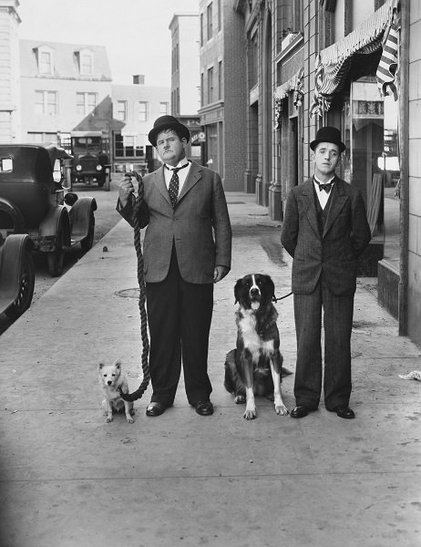 Laurel und Hardy machen eine Pause von den Dreharbeiten am Set, um mit ihren Welpen spazieren zu gehen