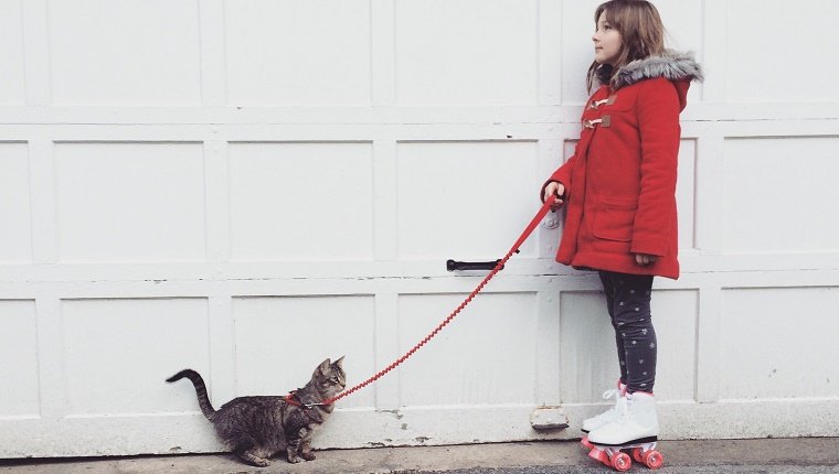 Kleines Mädchen in einem roten Wintermantel, der Rollschuhe trägt und ihr Haustier tabby Katze an der Leine geht.