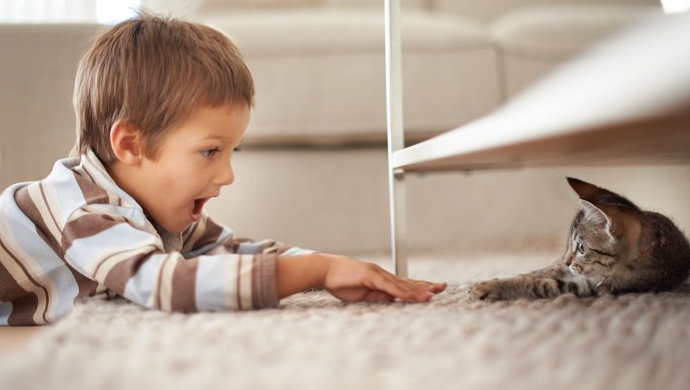 Ein kleiner Junge liegt auf dem Boden seines Schlafzimmers und spielt mit einem Kätzchen