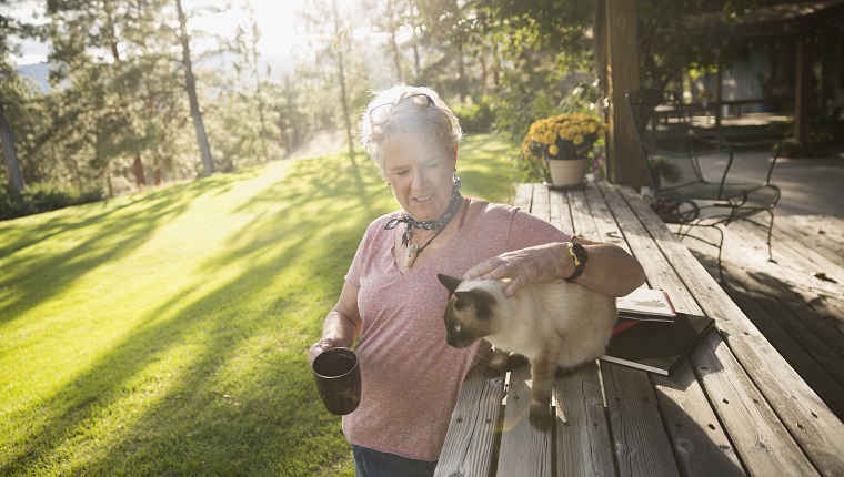 Ältere Frau, die Katze streichelt und Kaffee auf sonniger, idyllischer Terrasse trinkt