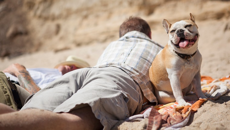 Männer, die mit Hund am Strand entspannen