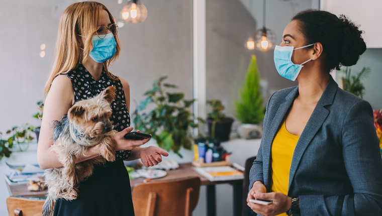 Mitarbeiter im Büro während der COVID-19-Pandemie, die Schutzmasken im Gesicht tragen und Abstand halten