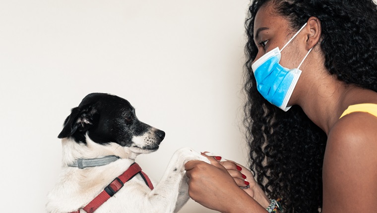 Mädchen geht mit ihrem Hund aus, mit aller Vorbeugung. Junges Mädchen macht sich Sorgen um Coronavirus. Zeit, mit ihrem Haustier, mit Maske auszugehen. Covid 19-Konzept. Bild