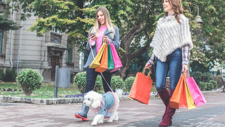 Zwei junge Frauen mit Einkaufstüten, die mit einem Hundepudel vom Einkaufen zurückkehren.