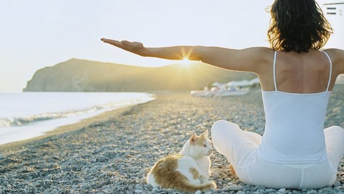 Frau, die Yoga am Strand mit Katze tut