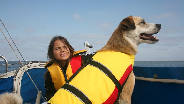 Akita und Australian Shepard Mischlingshund und Mädchen segeln über das Wasser http://www.microstockgroup.com/lightbox/transport.jpg