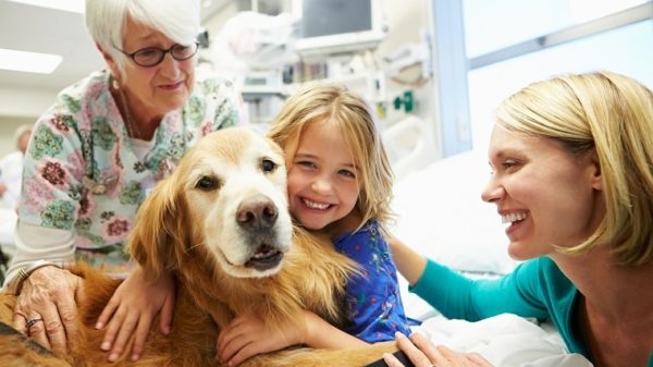 Young Girl Being Visited In Hospital By Therapy Dog And Family