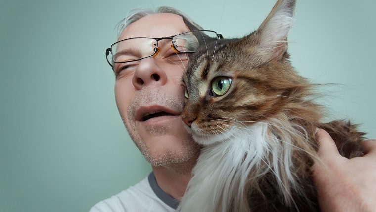 Ein zerzauster und krank aussehender Mann, der seine schöne Maine Coon Cat umarmt.