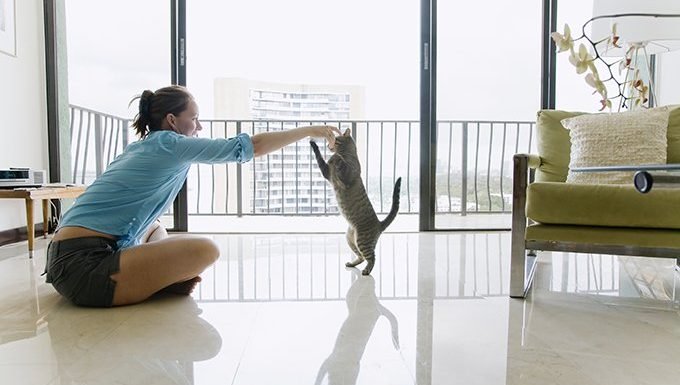 Frau spielt mit Katze in der Wohnung