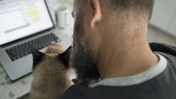 Mann auf Laptop mit Katze auf Schoß
