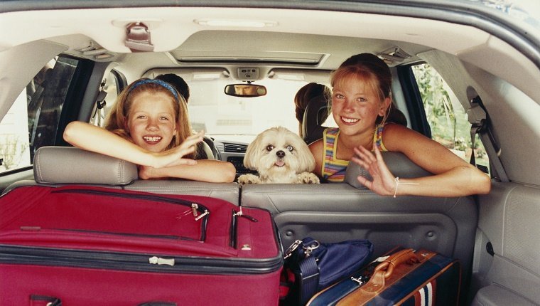 Familie im Auto mit Hund