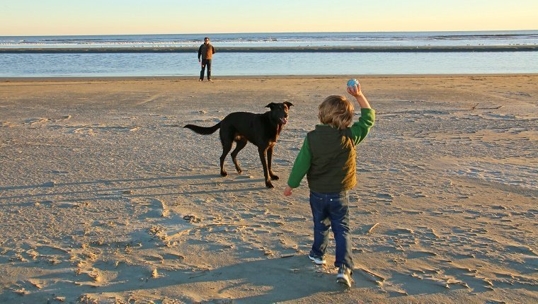 Ein kleiner Junge und sein Vater spielen mit ihrem Hund in der Nähe des Ozeans. Der Junge ist bereit, den Ball zu werfen, damit der Hund ihn holen kann.
