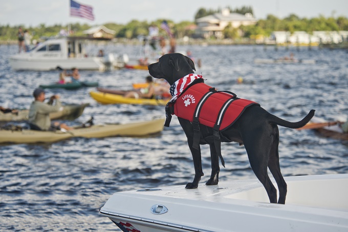 Nichts ist amerikanischer als ein Rettungsschwimmerhund.