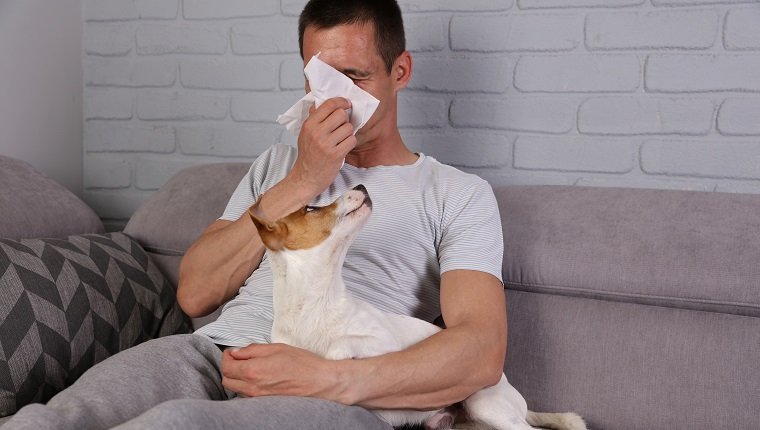 Mann mit Allergiesymptomen bei Haustieren: laufende Nase, Asthma