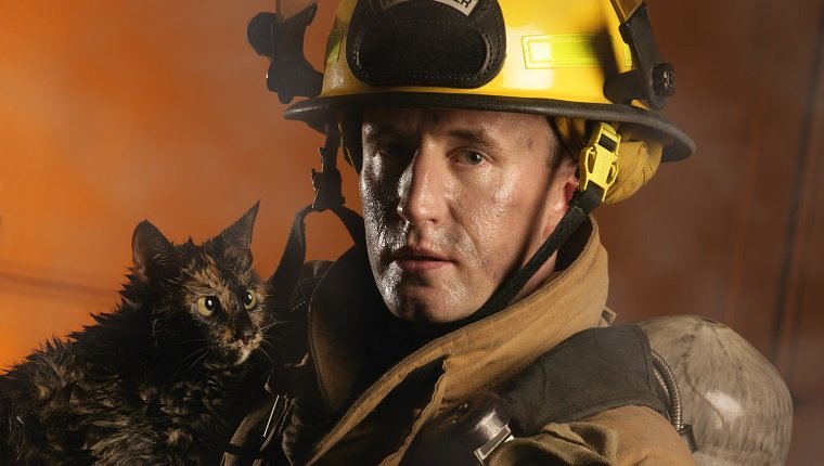Feuerwehrmann und eine Katze