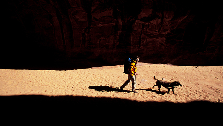 Ein Mann und sein Hundebegleiter gehen durch einen Lichtstreifen.