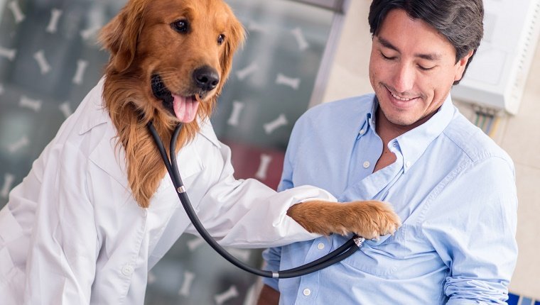 Hund beim Tierarzt, der einen menschlichen Patienten überprüft