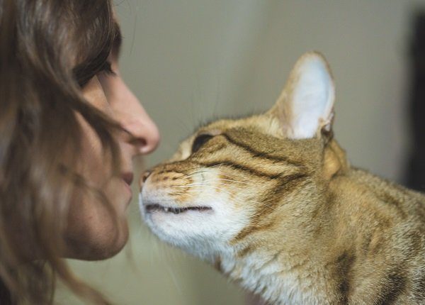A young woman approaches her face to her cat
