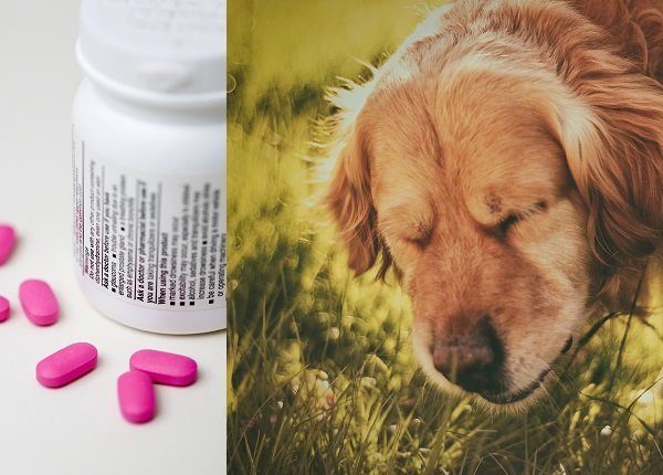 Pink pills and medicine bottle