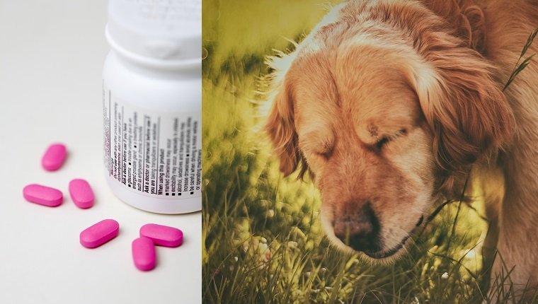 Pink pills and medicine bottle