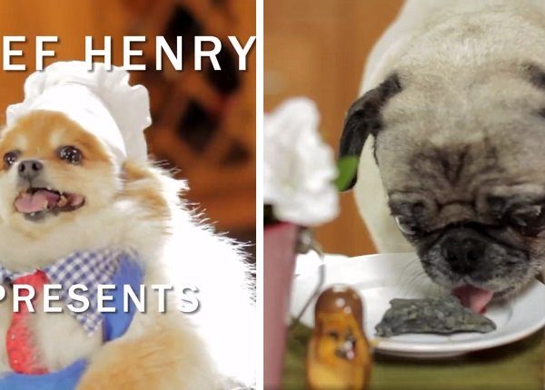 chef henry with doggy dental treats