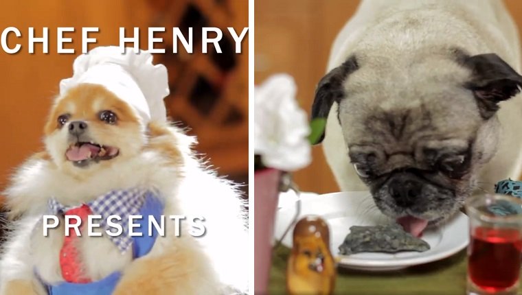 chef henry with doggy dental treats