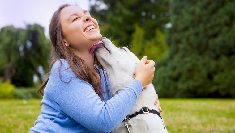 Young woman sitting with dog in park, dog licking womans face
