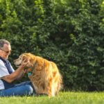 A middle aged Caucasian man sitting in the grass petting/rubbing the ears his deaf senior Golden Retriever as the dog give him a paw at sunset. This setting could be his back yard or at a public park.