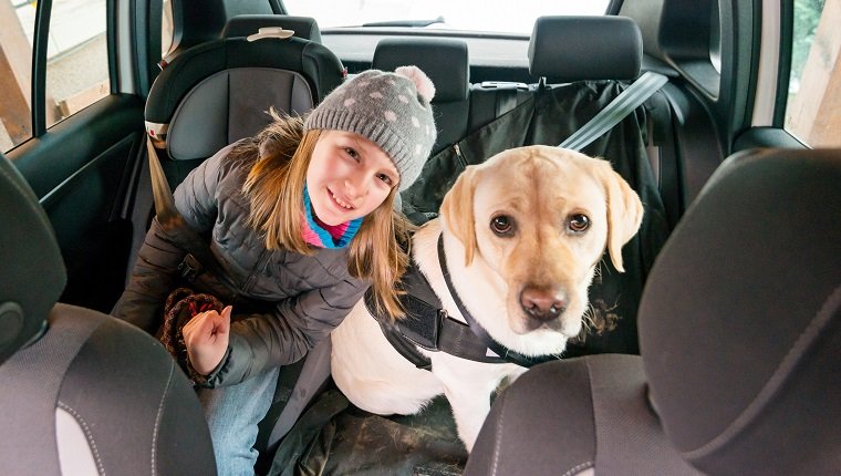 10 years old girl and her yellow labrador sitting on the back seat of a car. Cluj-Napoca, Transylvania, Romania