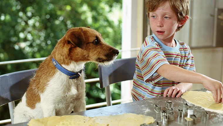 Junge (4-6) schneidet Keksformen neben Hund aus, der an der Theke sitzt