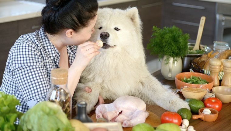 Machen Sie Ihren Hund zu einer hausgemachten Mahlzeit!