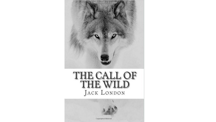 Titelbild für The Call of the Wild. Ein Wolf schaut aus einem schneebedeckten Hintergrund heraus.