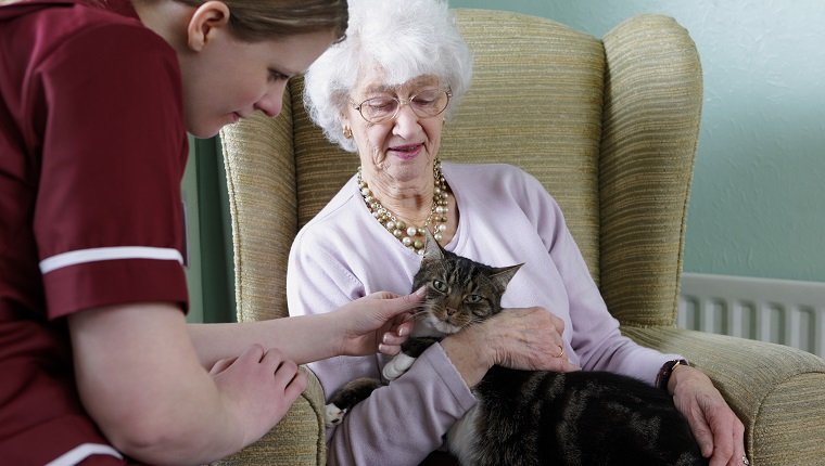 Pflegekraft unterhält sich mit ihrem älteren Patienten und taumelt mit ihrer Katze