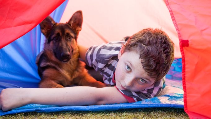Junge und deutscher Schäferhund im Zelt