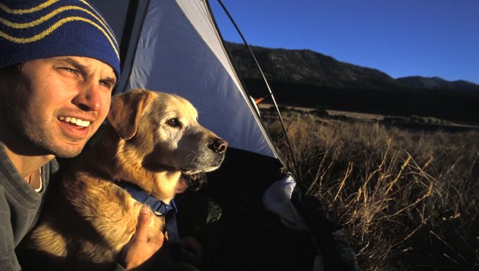 Mann und Hund im Zelt