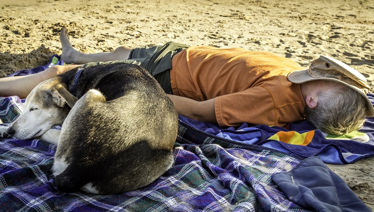 Eine Frau und ihr Hund machen ein Nickerchen am Ufer des Michigansees