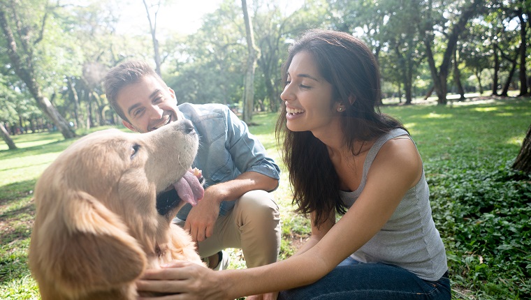 Porträt eines glücklichen Paares, das Spaß im Park mit ihren schönen Hundelebensstilkonzepten hat