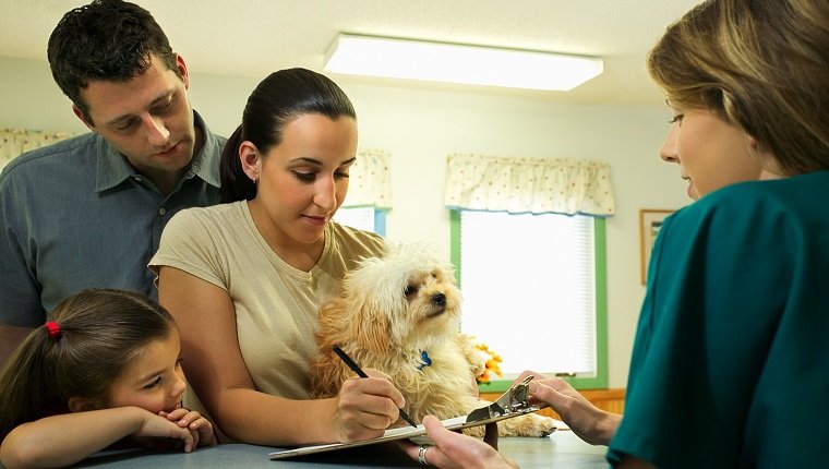 Familie mit Hund, der Papierkram an der Tierklinik ausfüllt
