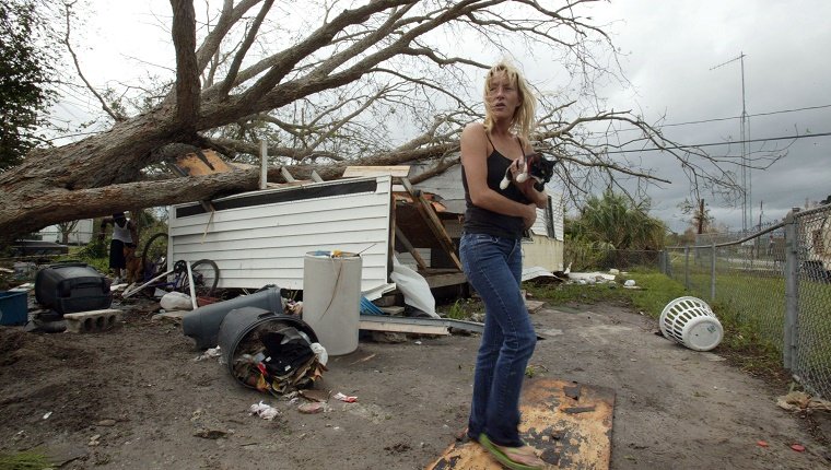 VERO BEACH, FL - SEPTEMBER 26: Levi Taylor rescues cats from the home of an elderly neighbor after a tree fell on the home due to high winds from Hurricane Jeanne September 26, 2004 in Vero Beach, Florida. Levi stated that she does not know where her elderly neighbor is and that she wanted to help by taking in her cats and dogs. (Photo by Joe Raedle/Getty Images)