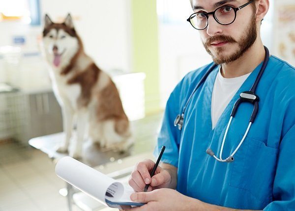 Healthcare worker making notes and looking at camera with dog on background