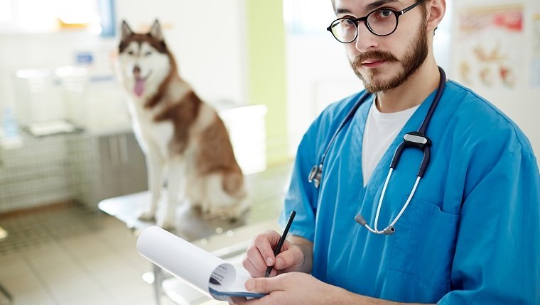 Healthcare worker making notes and looking at camera with dog on background