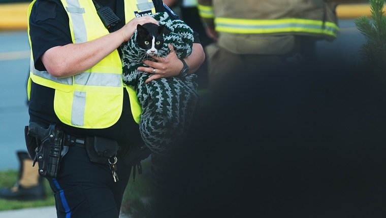 Ein Polizist gibt eine erschrockene Katze im Chaos eines Hausbrands an seine Besitzer zurück.
