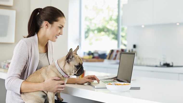 Frau, die Laptop mit Hund auf Schoß benutzt