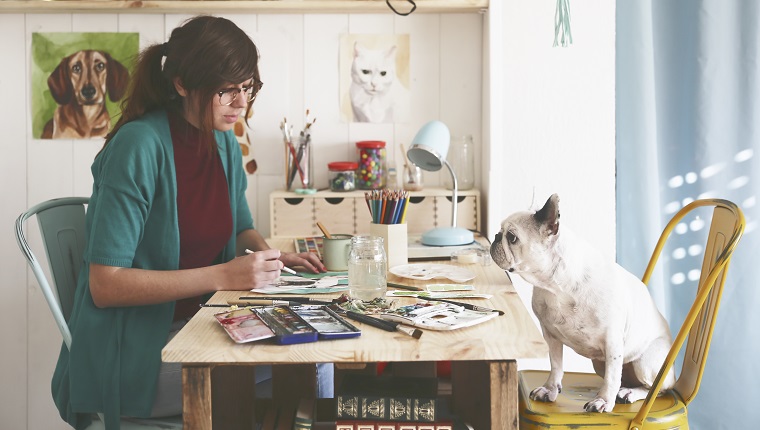 Künstler malt in ihrem Atelier eine Aquarelle ihrer französischen Bulldogge