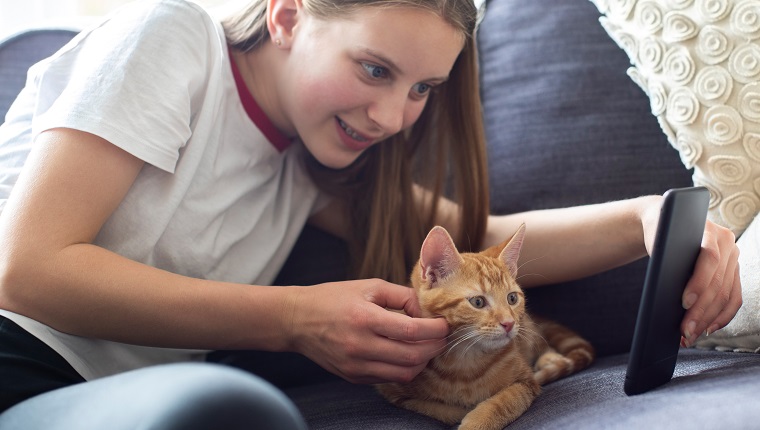 Teenager-Mädchen mit Haustier-Katze, die Selfie auf Handy zu Hause nimmt