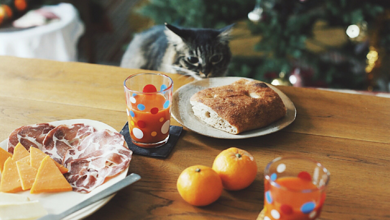 Katze, die Brot auf Tisch betrachtet