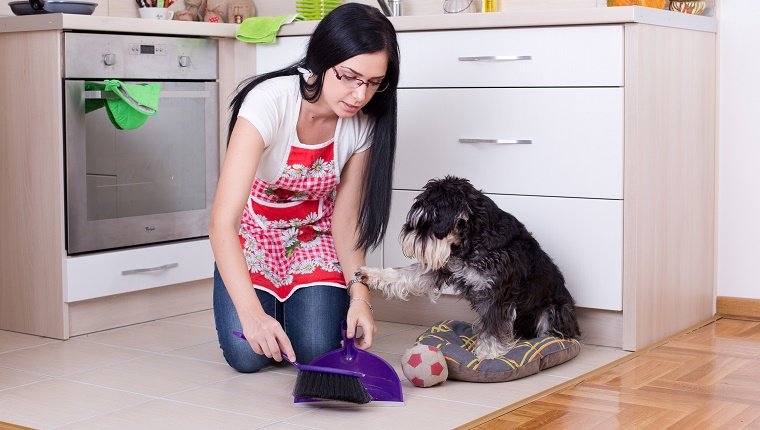 Junge Frau, die auf Knien hockt, während sie nach ihrem Hund in der Küche putzt
