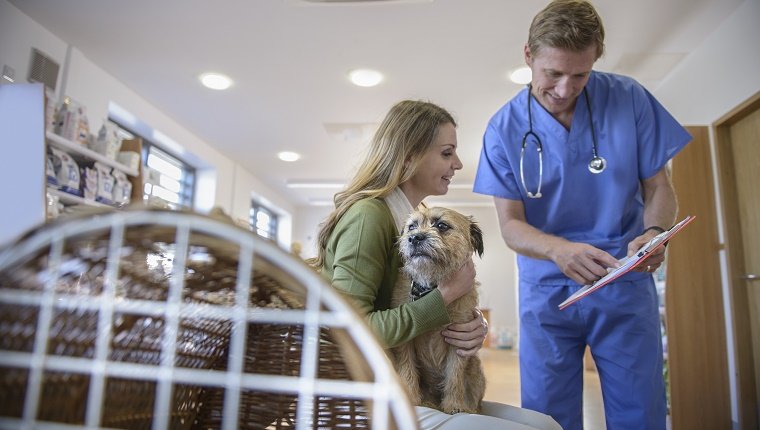 Tierarzt, der mit Frau spricht, die Haustierhund im veterinärmedizinischen Wartezimmer hält